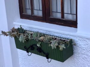 Whistlewood Guest House - Outside Flower Pot