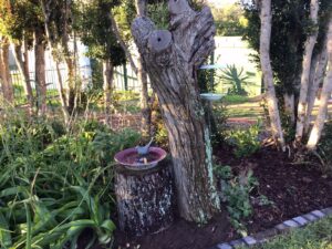 Whistlewood Guest House - Outside Garden Bird Feeder